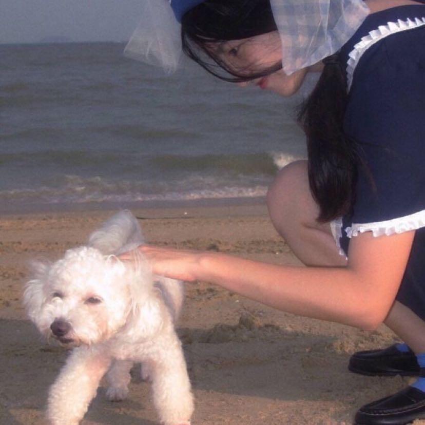 夹子