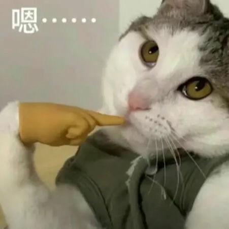 不能喝豆汁