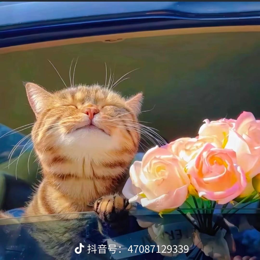 小亚
