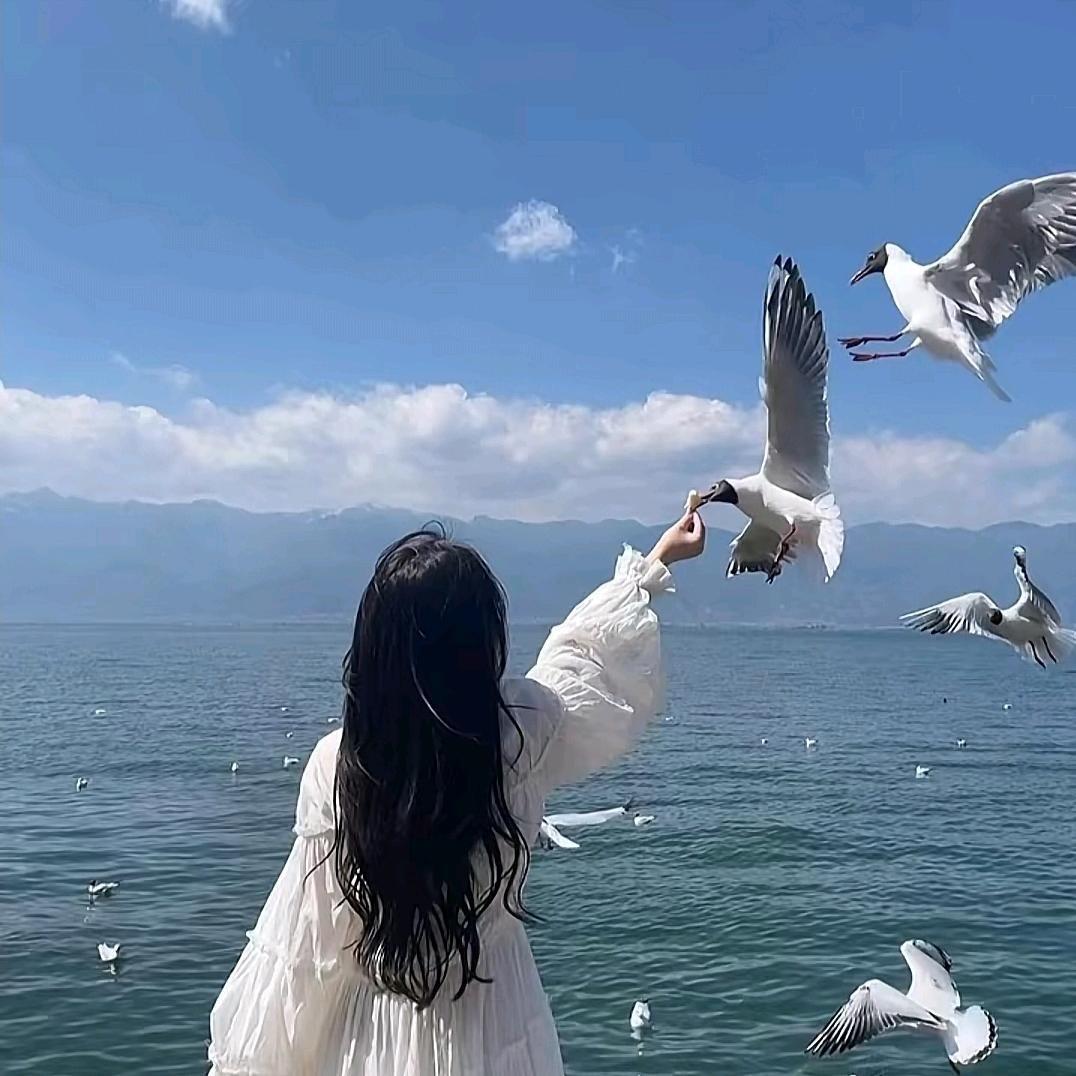 杨胖胖