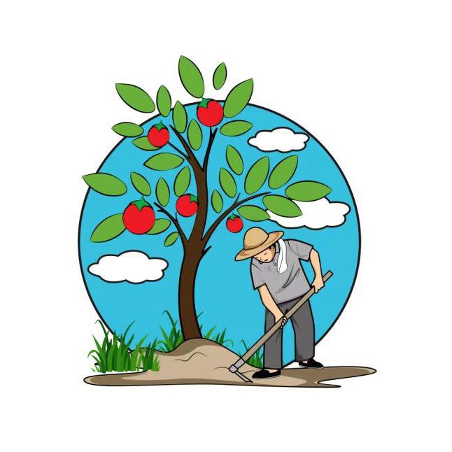 果树育苗种植基地一体化