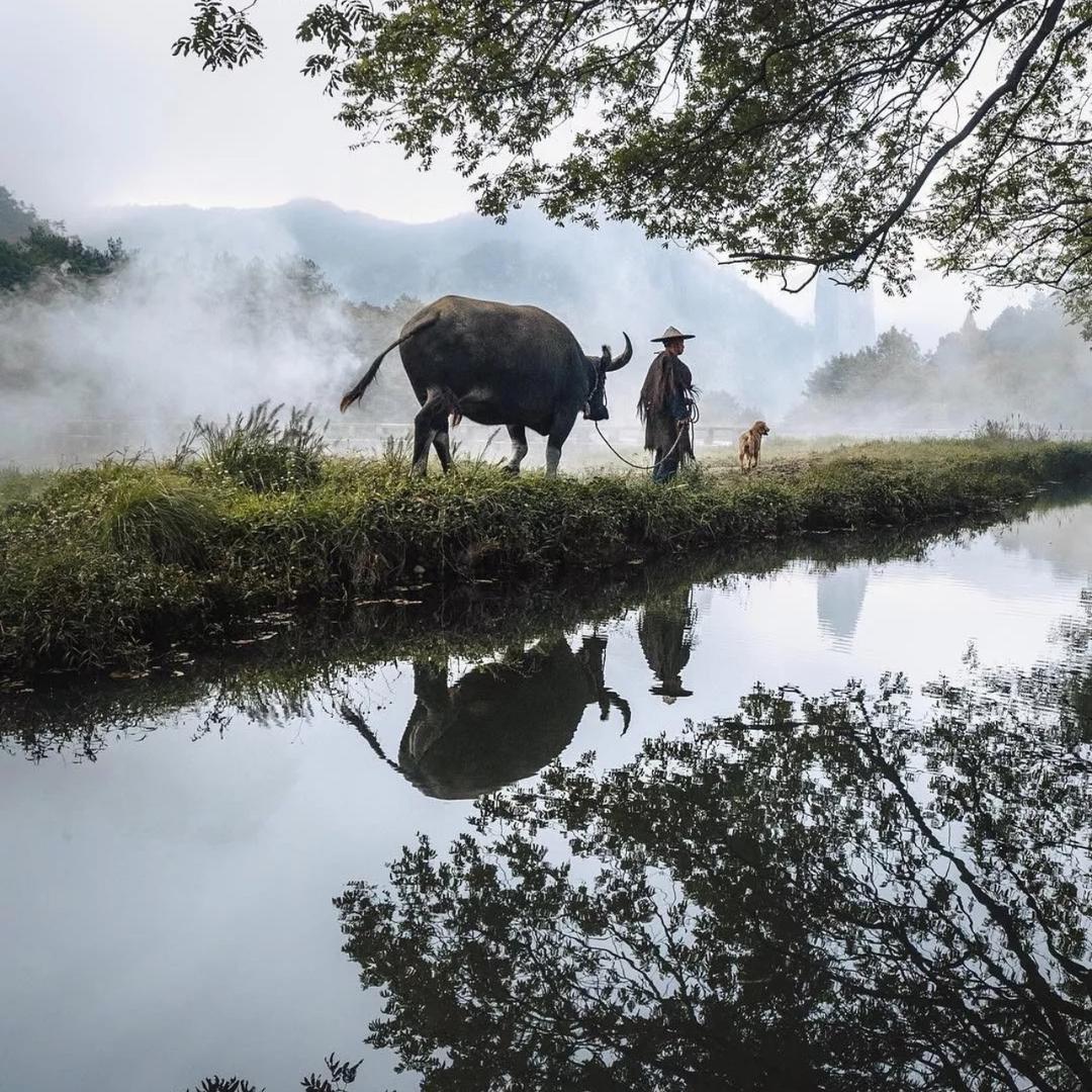 挚爱中国红