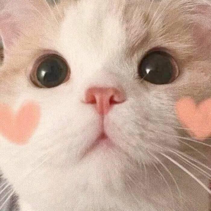 .....
