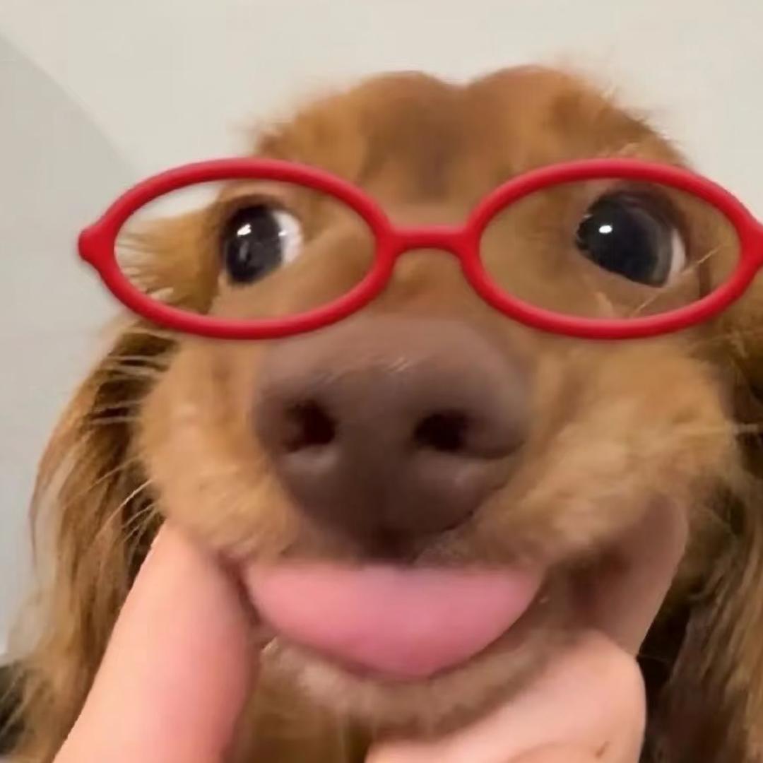 慢llll