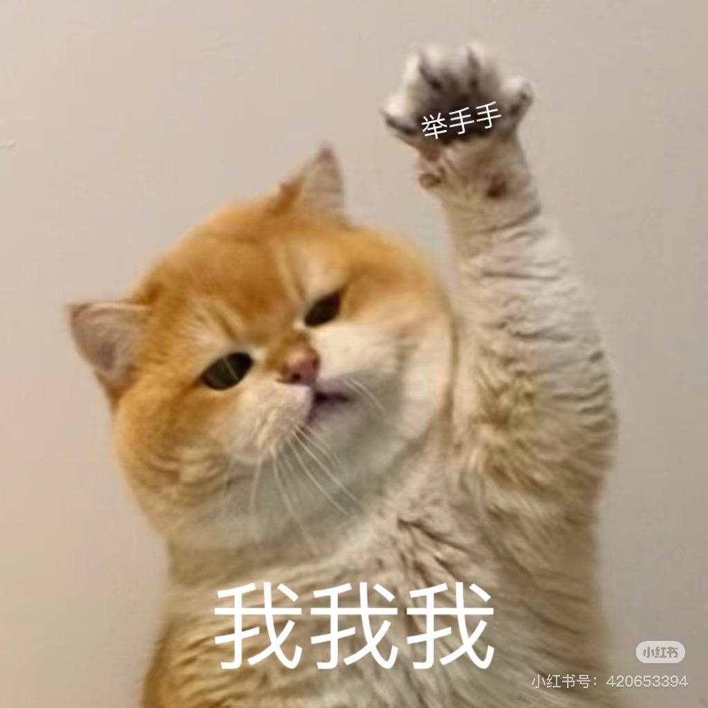 发财大王