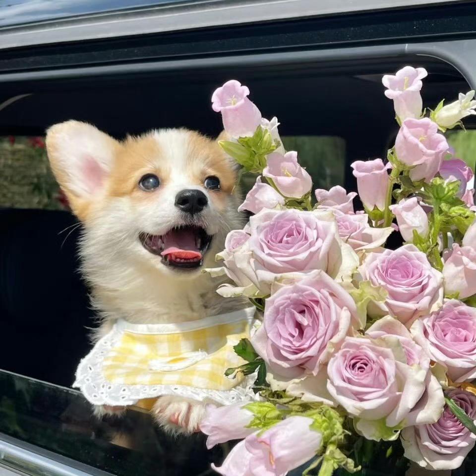 别卷了我是煎饼🐾