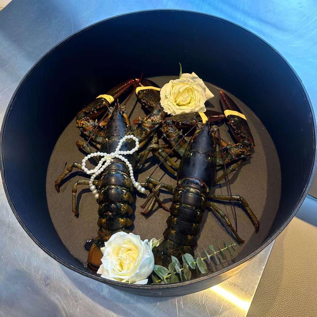 惊喜爬高高