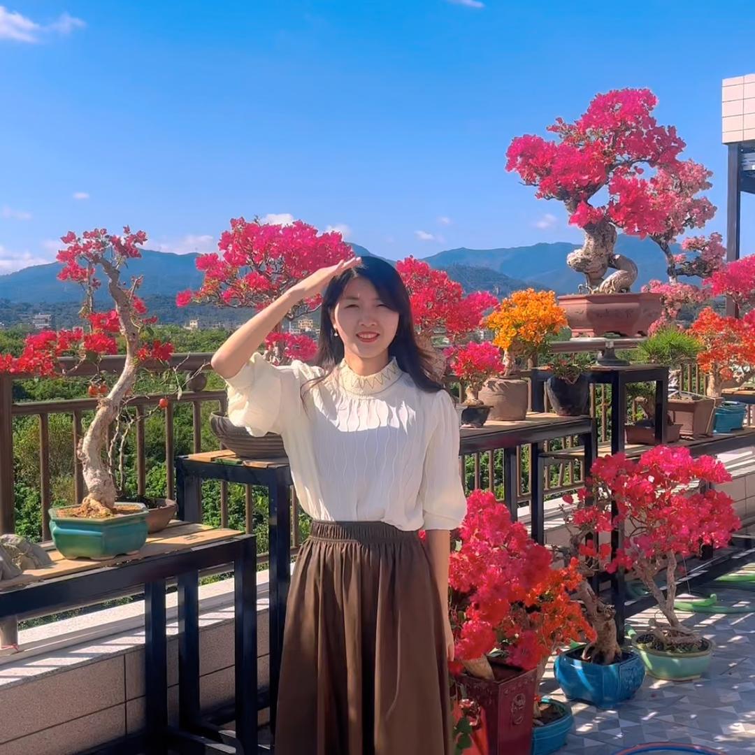 研梅堂盆景