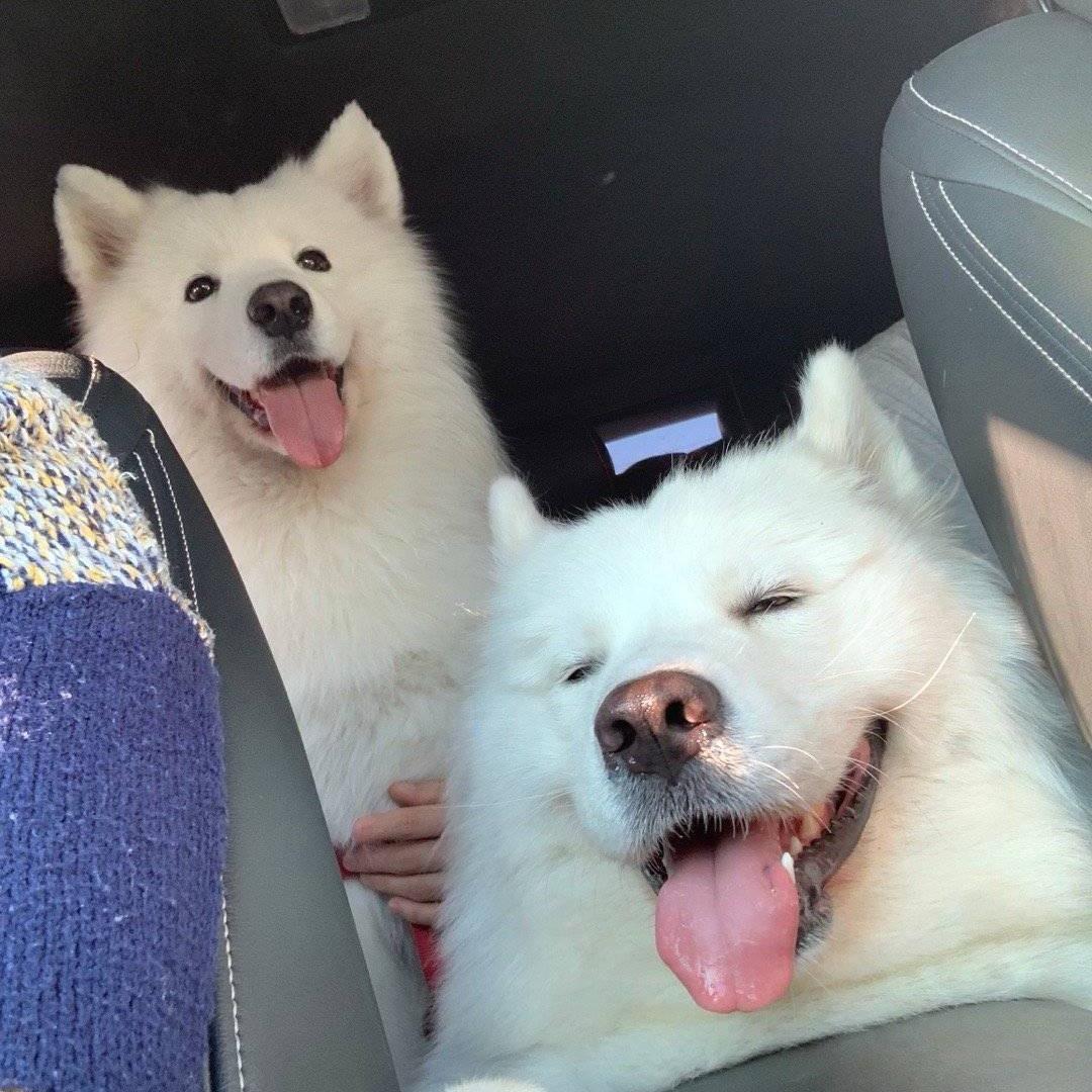 彬彬彬彬彬彬无礼