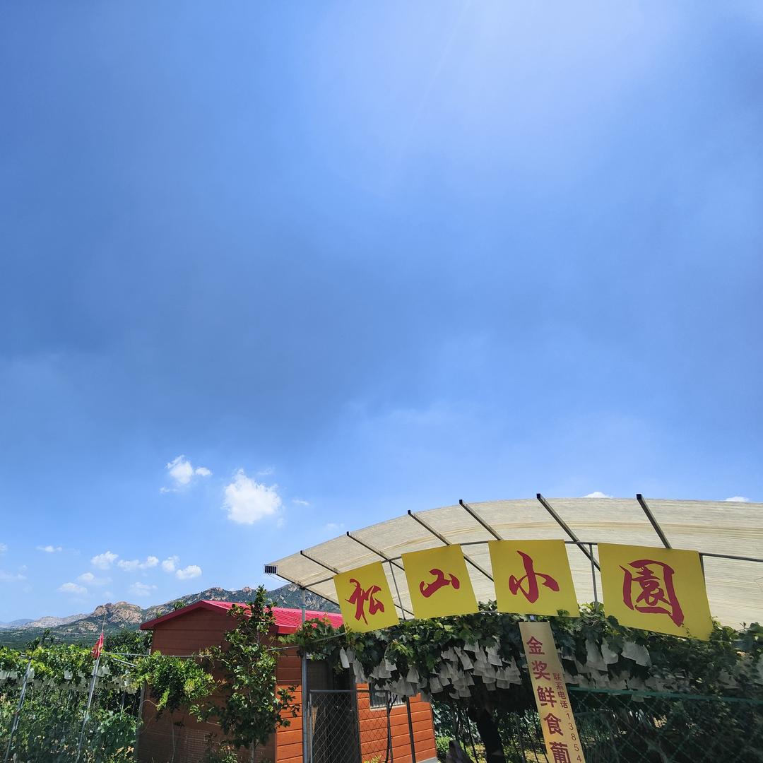 松山小园