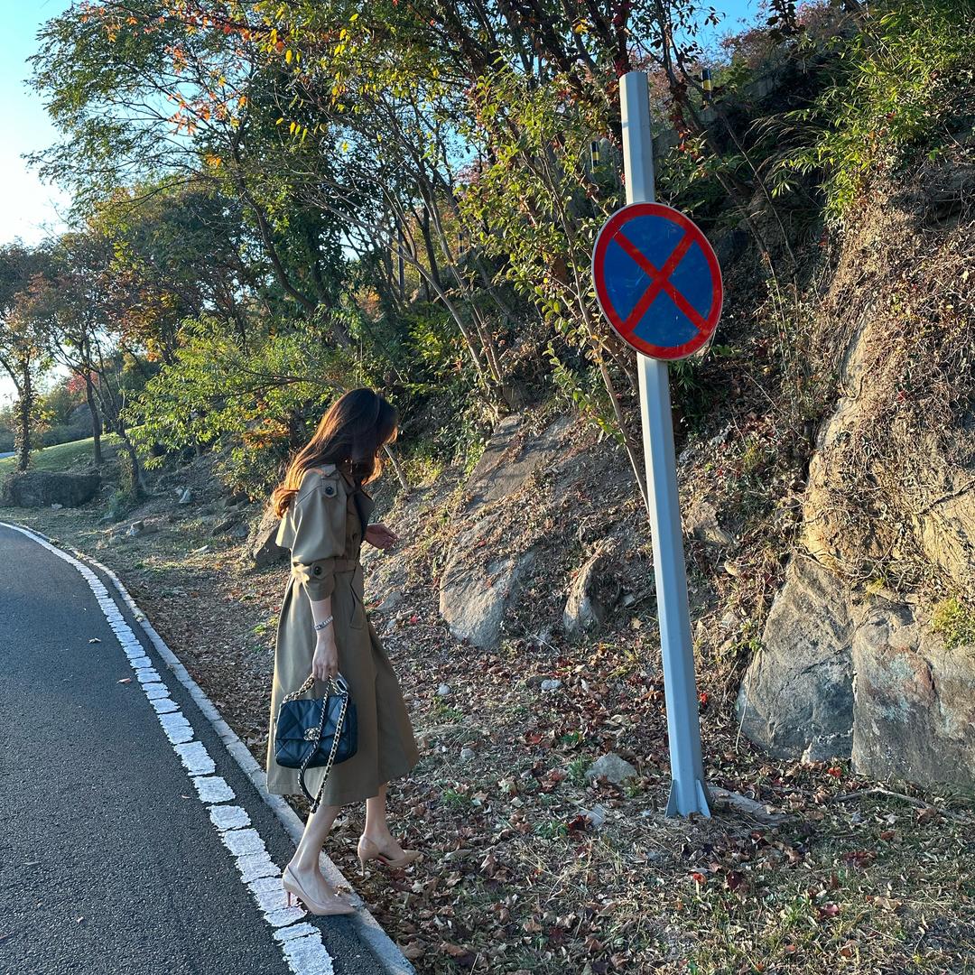 大柳柳🐱