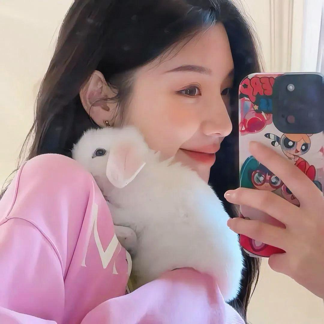 王者兔兔🐰（收徒💕）