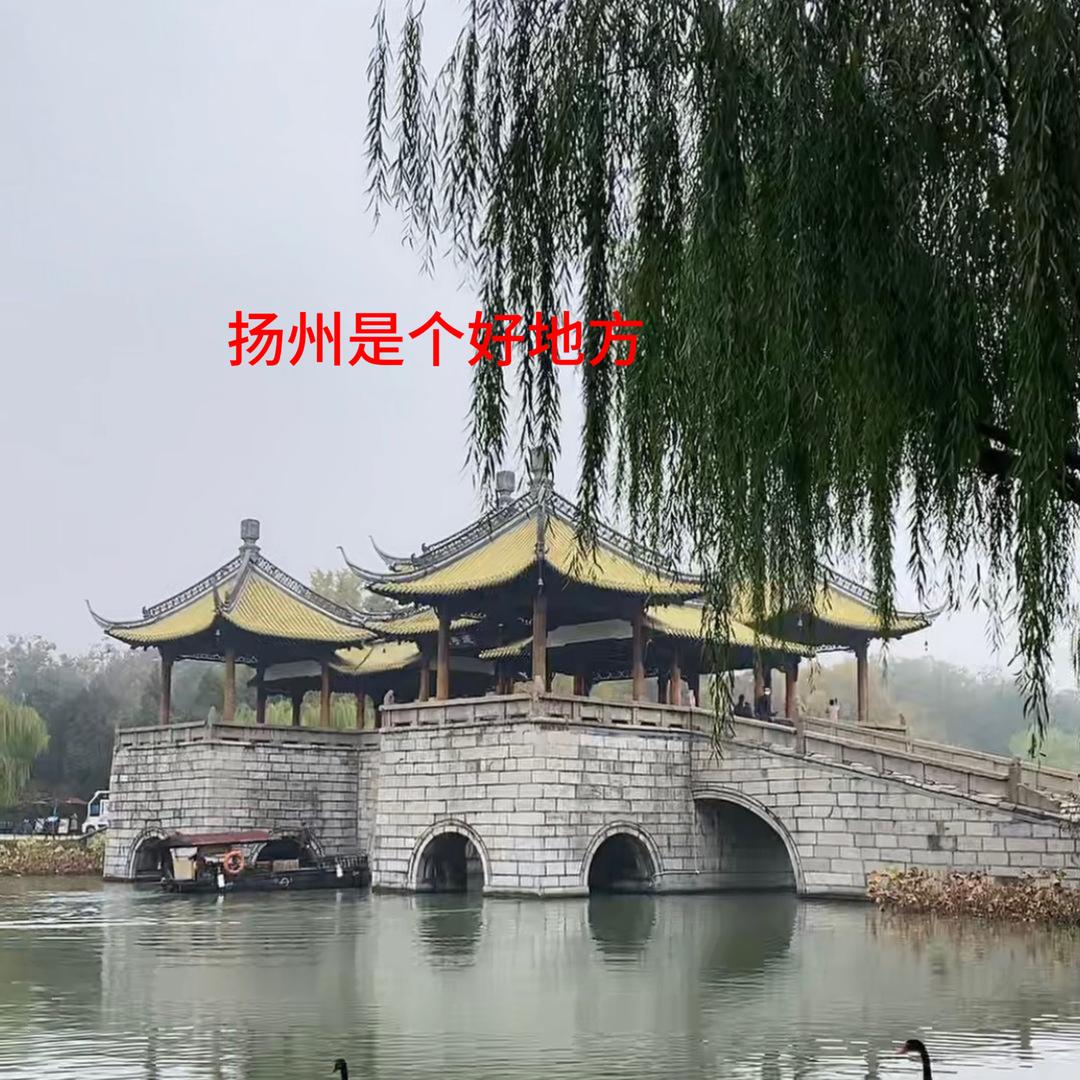 彬彬有礼