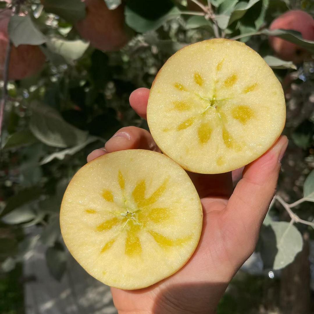 阿依古丽新疆阿克苏糖心苹果