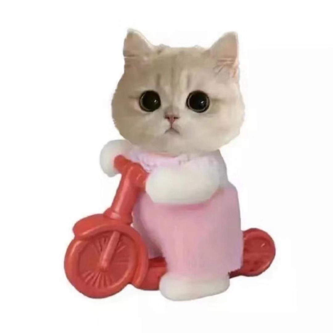 皮皮猪