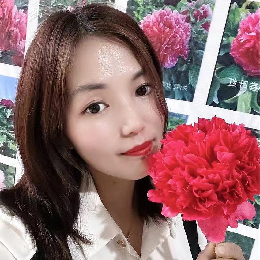 恒泽苗木牡丹种植