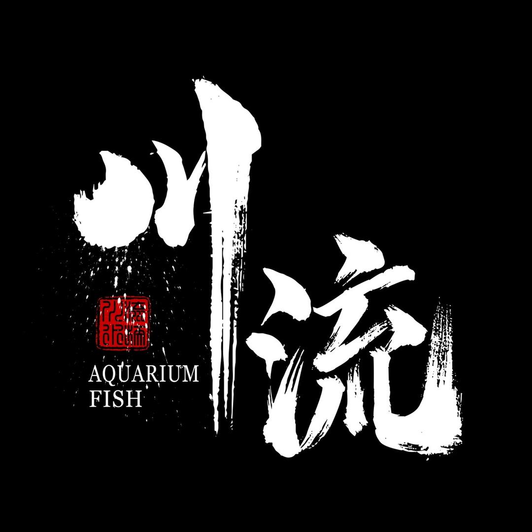 川流Aquarium Fish