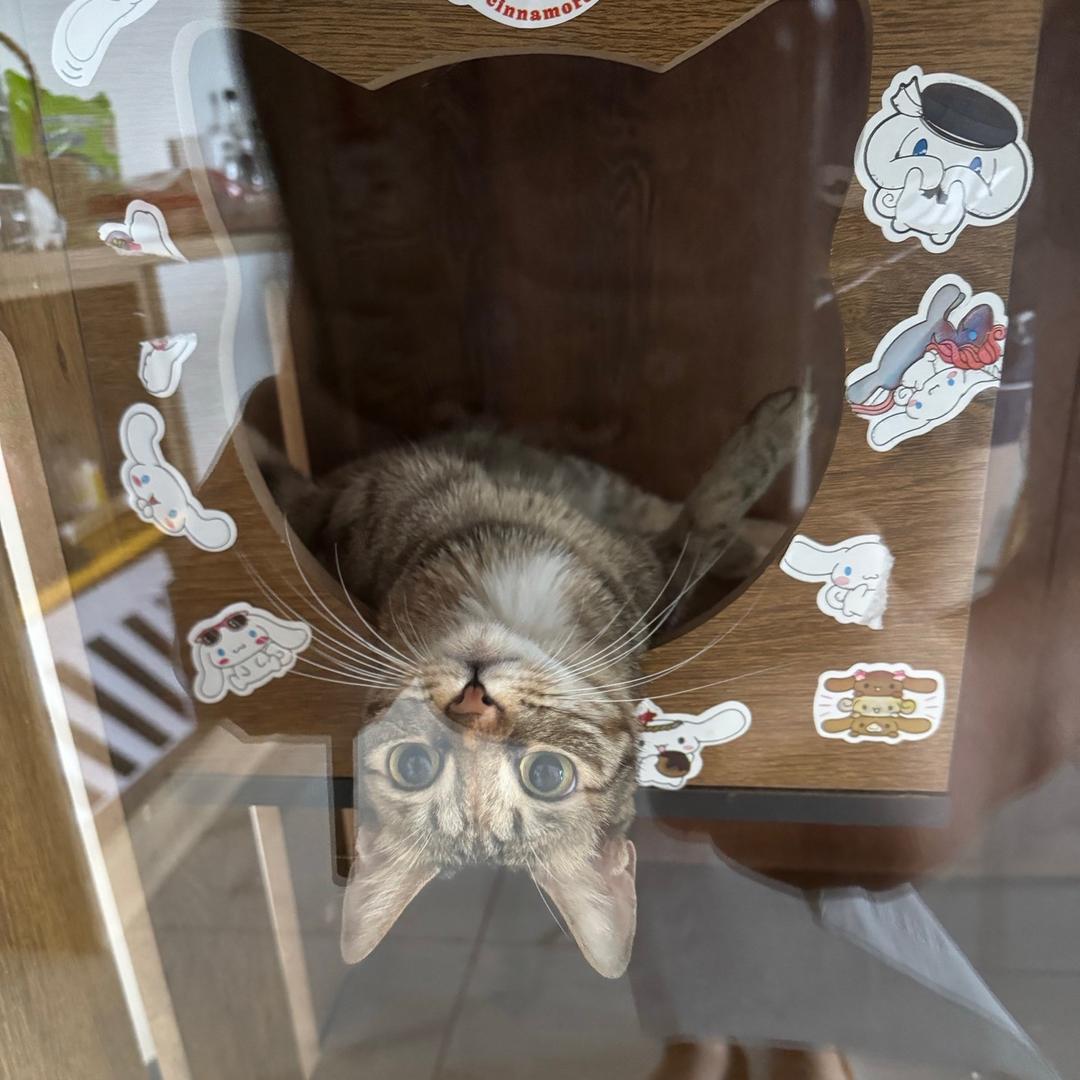 金钱宝