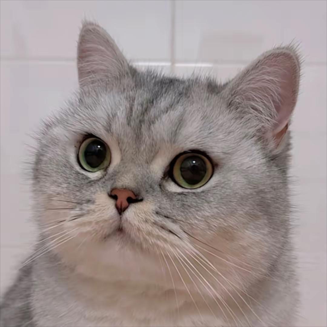 李哈哈二家（喵无敌）