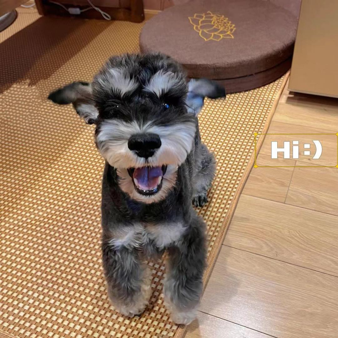 嘟嘟小宝