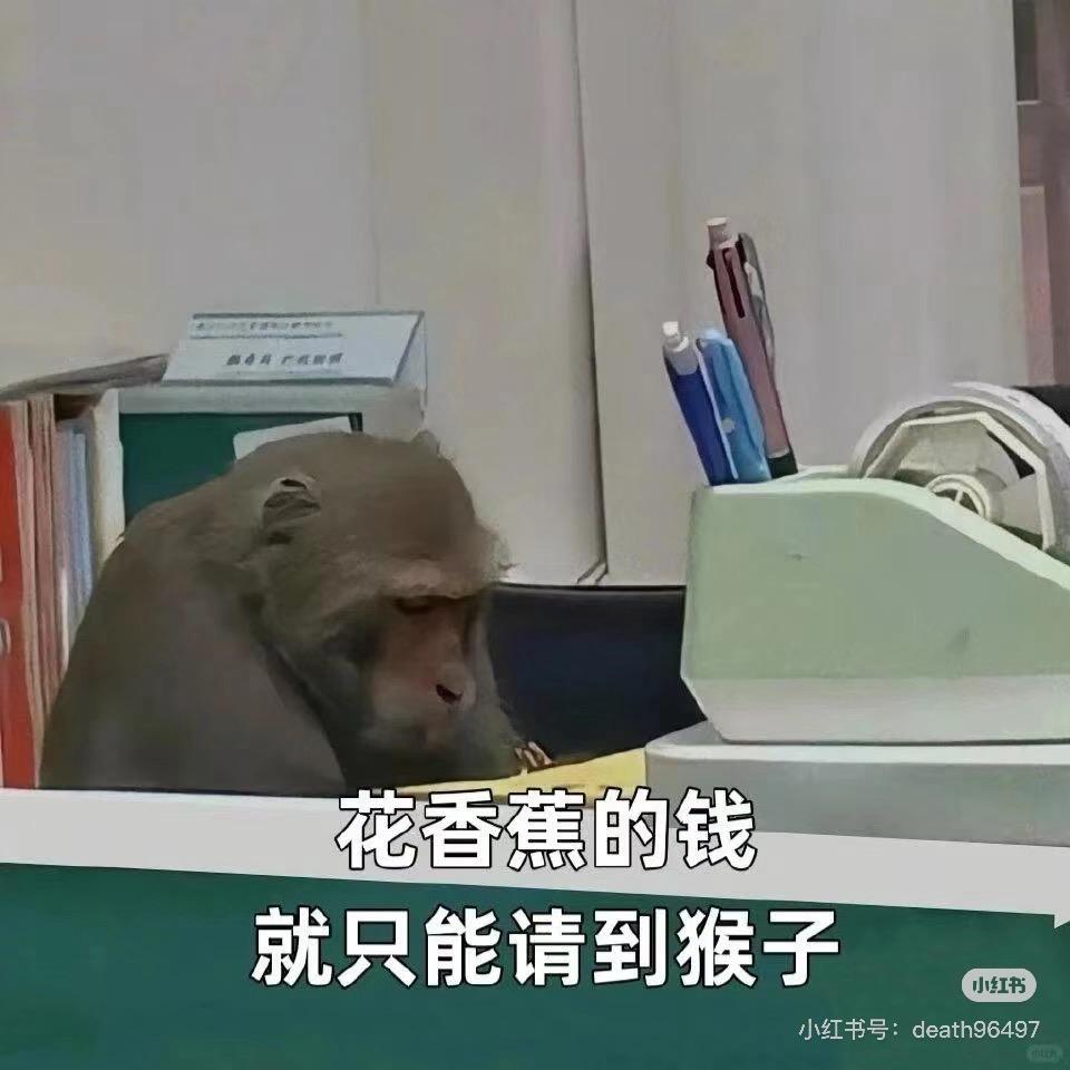 破碎的小吗喽