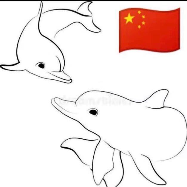 沈言（鱼子酱）