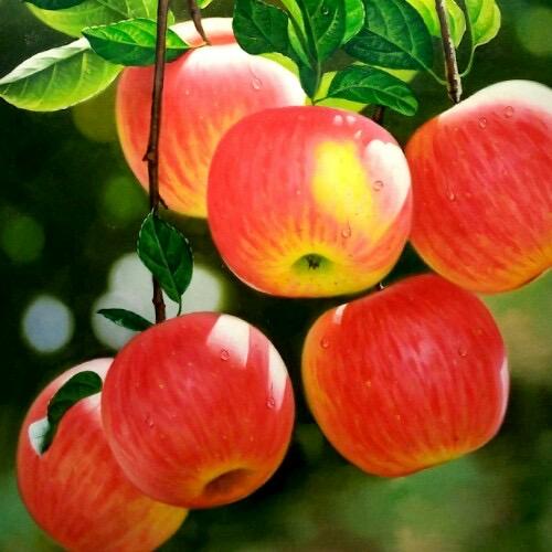 (自驾)萍水相逢