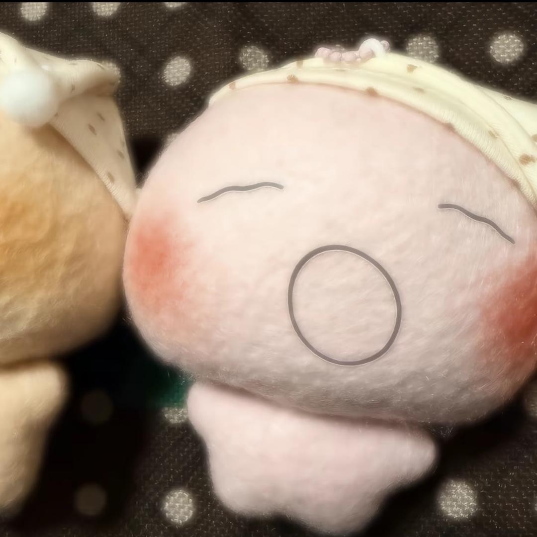 燃蚁环（尔朵隆