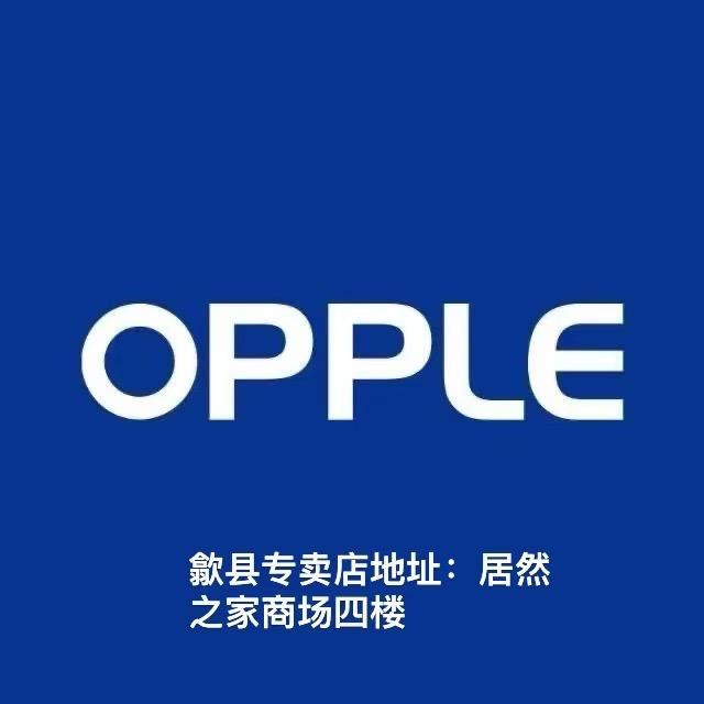 欧普照明（居然之家四楼）程颖虹