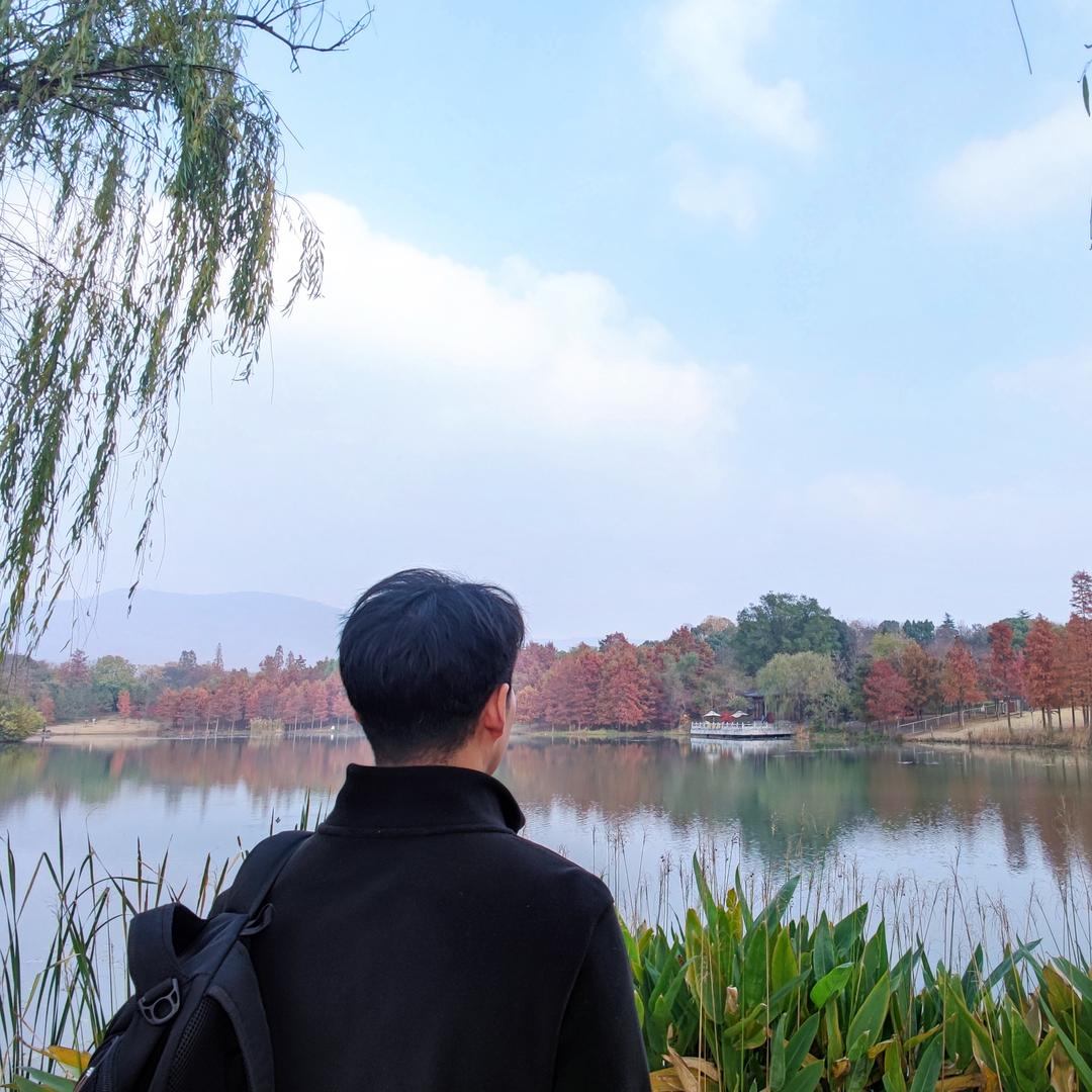 仙人抚我顶、