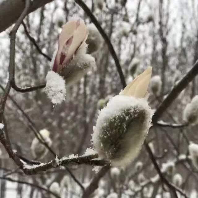 一心向善