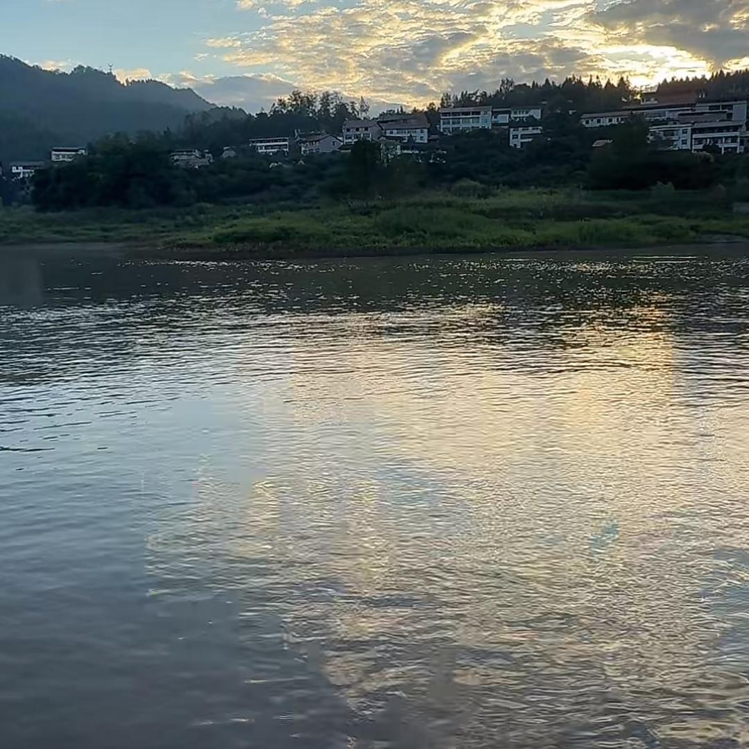 一切随随缘