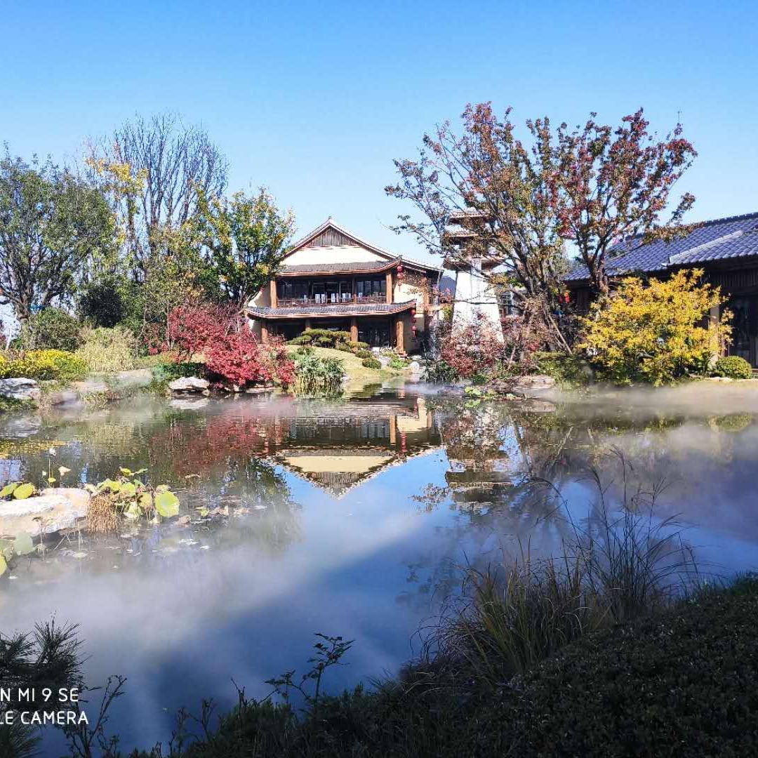 淡淡花香惹人醉