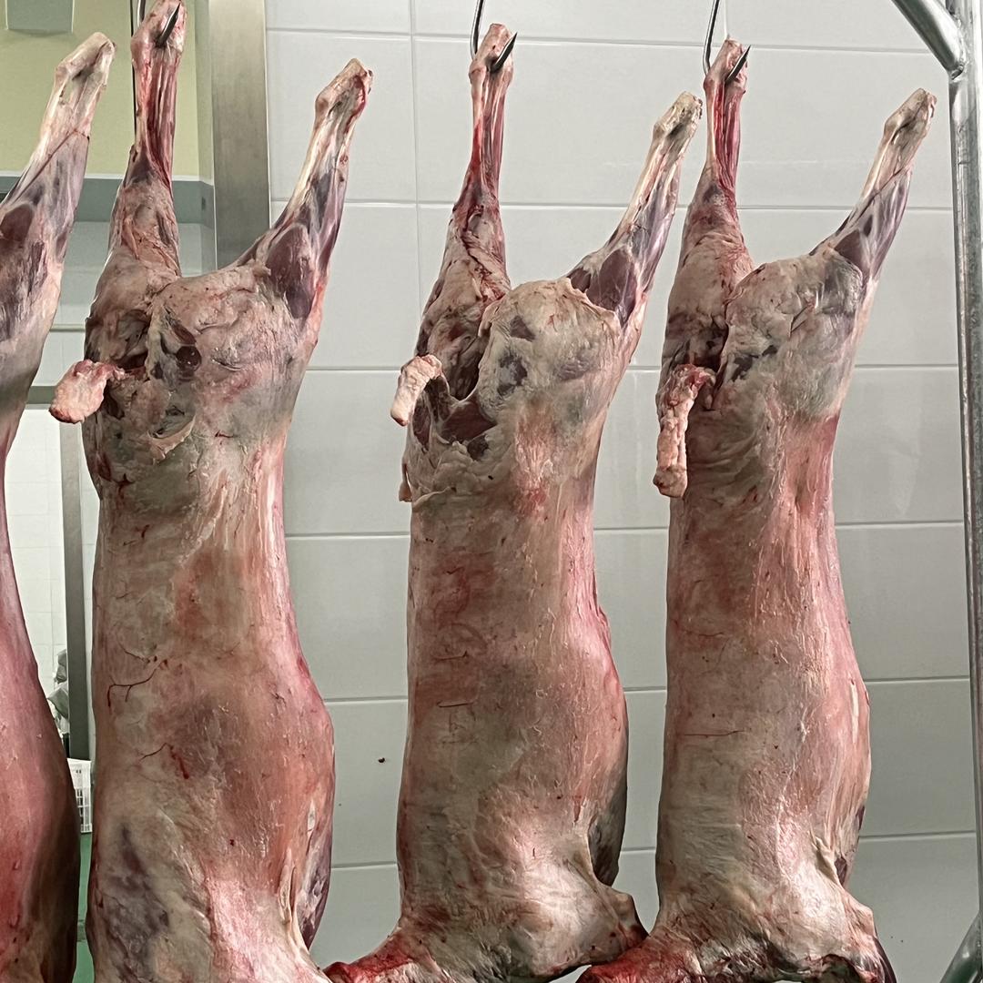 牛礼纪鲜牛羊肉