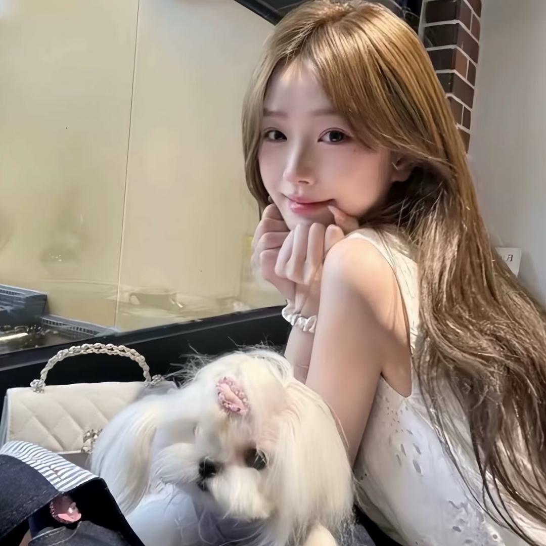 晶晶ㅤ