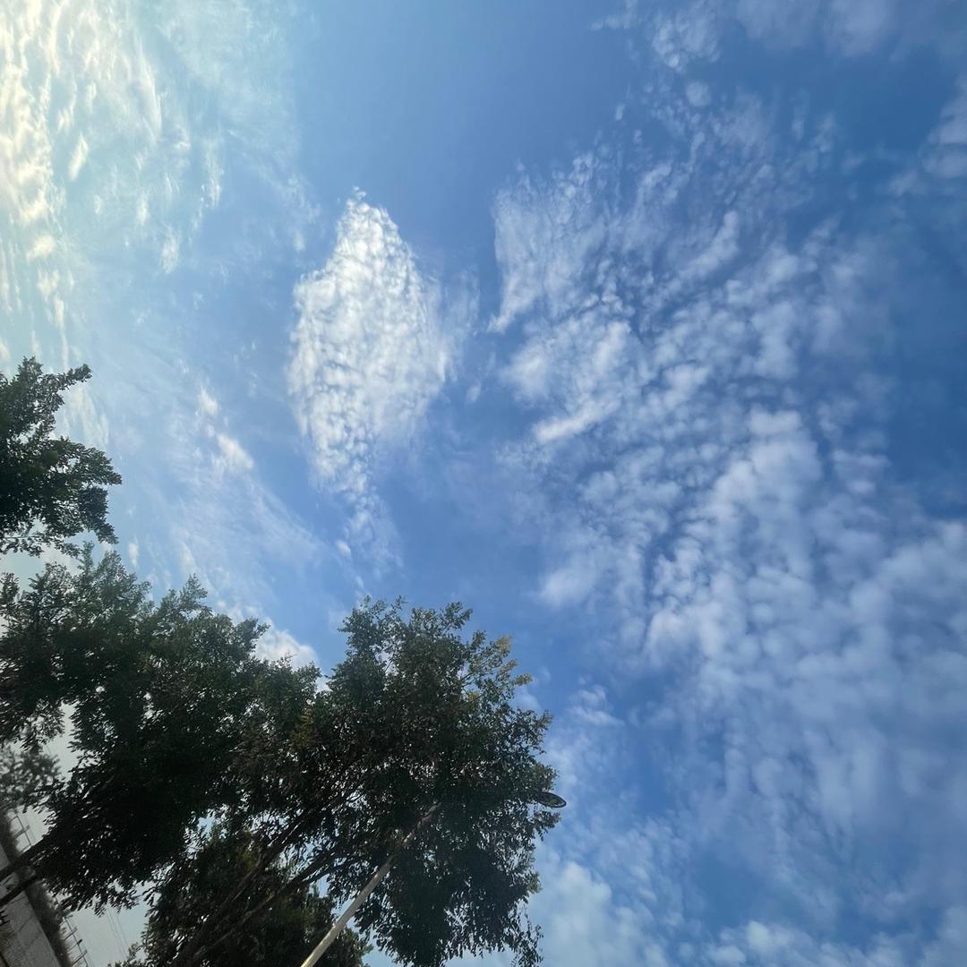 🌞🌞🌞