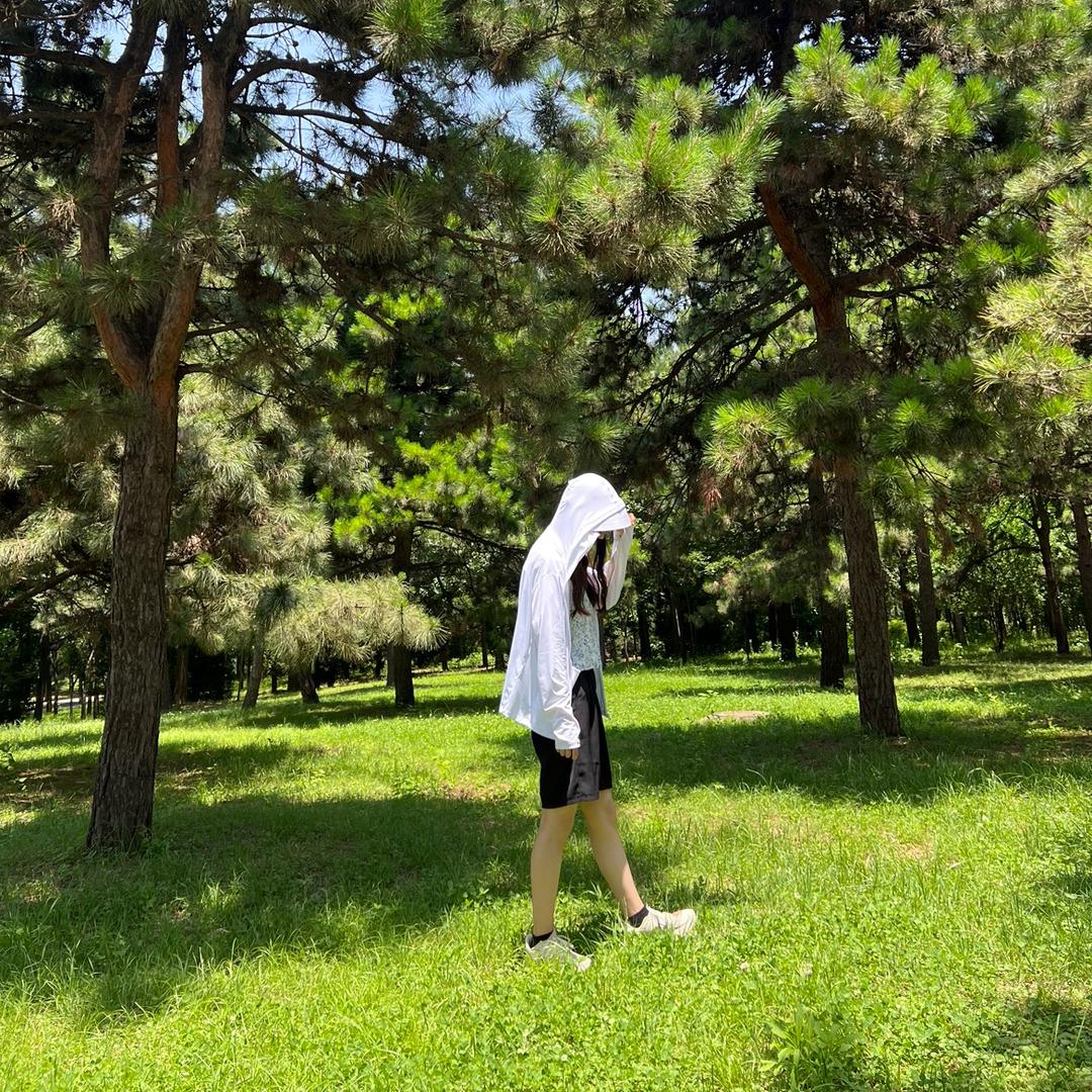锦李