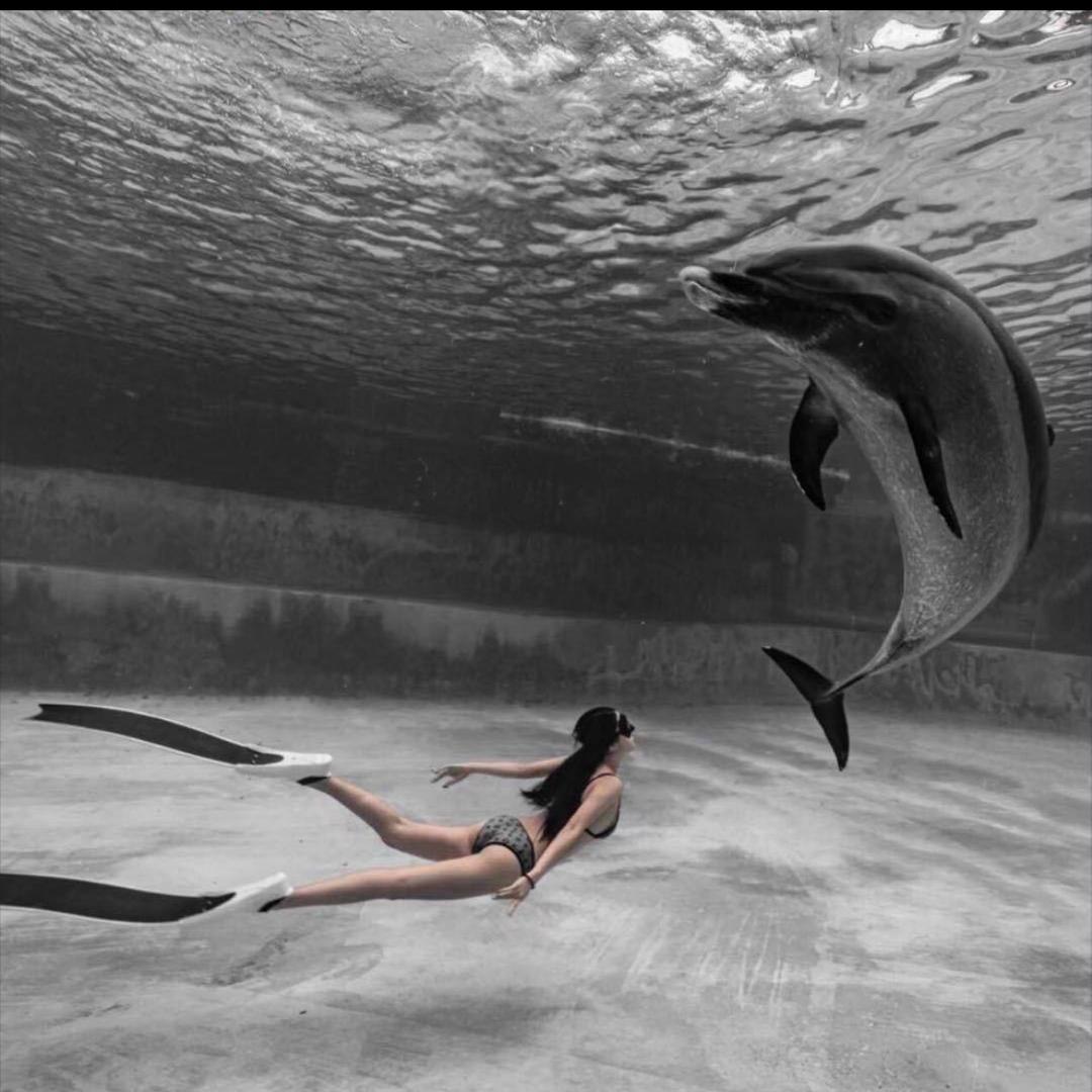 ဝေရံဖြိူ