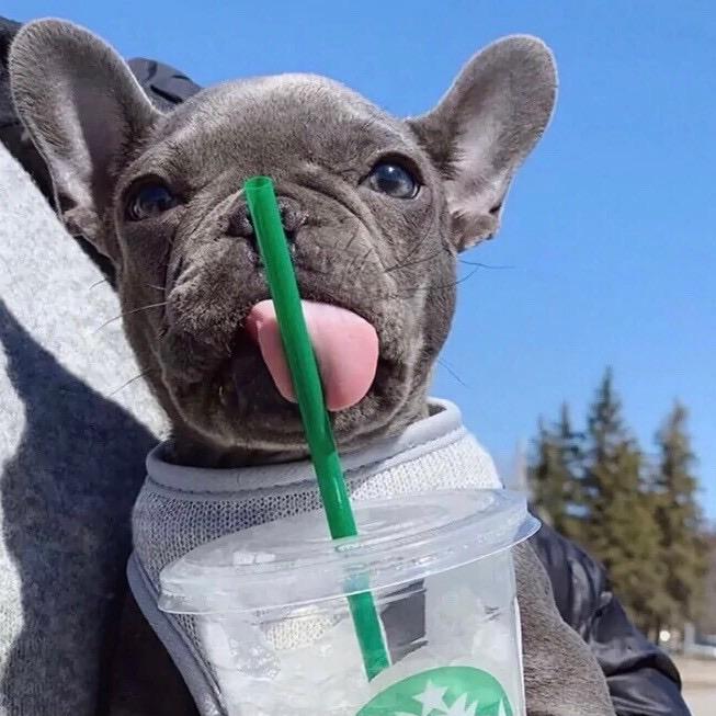 爱笑的小李🍻.