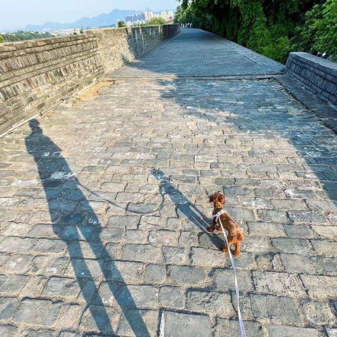 江西老表去看海