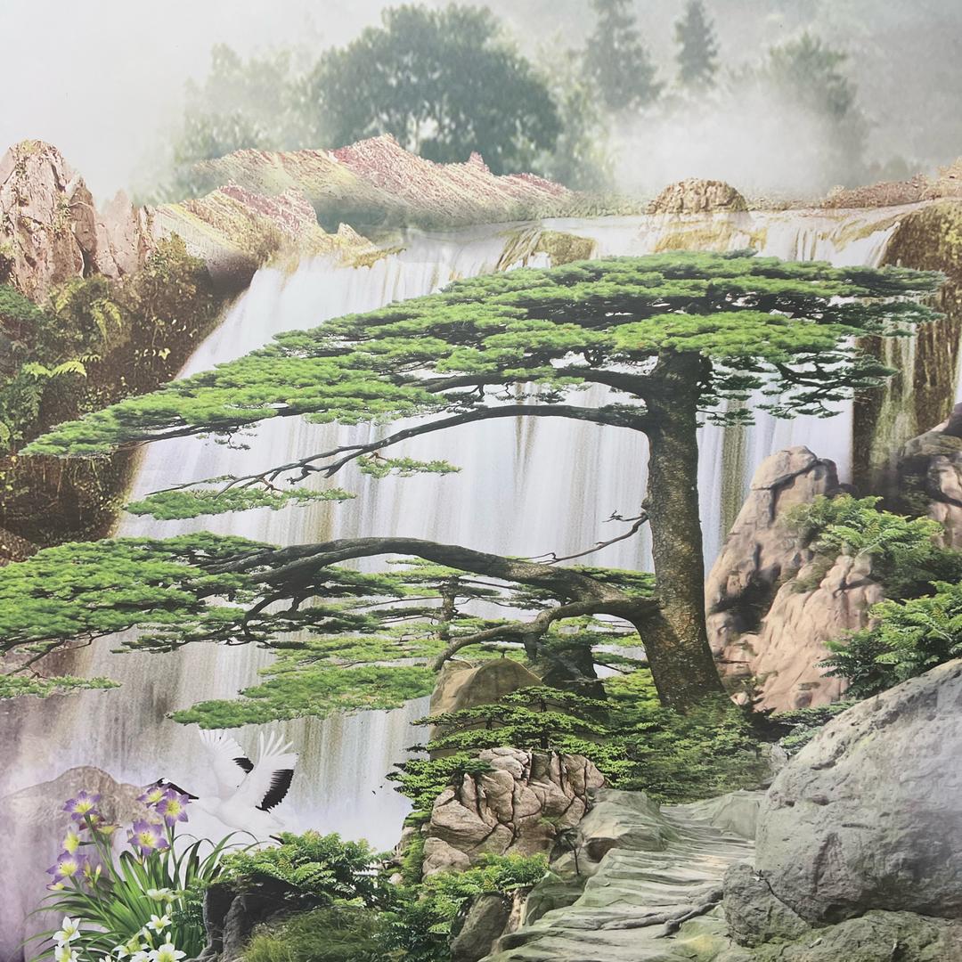 广东人有好嘢分享