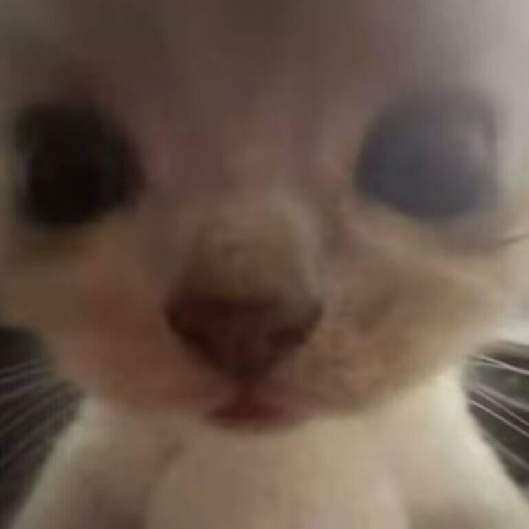 表情可以影响心情^ _ ^