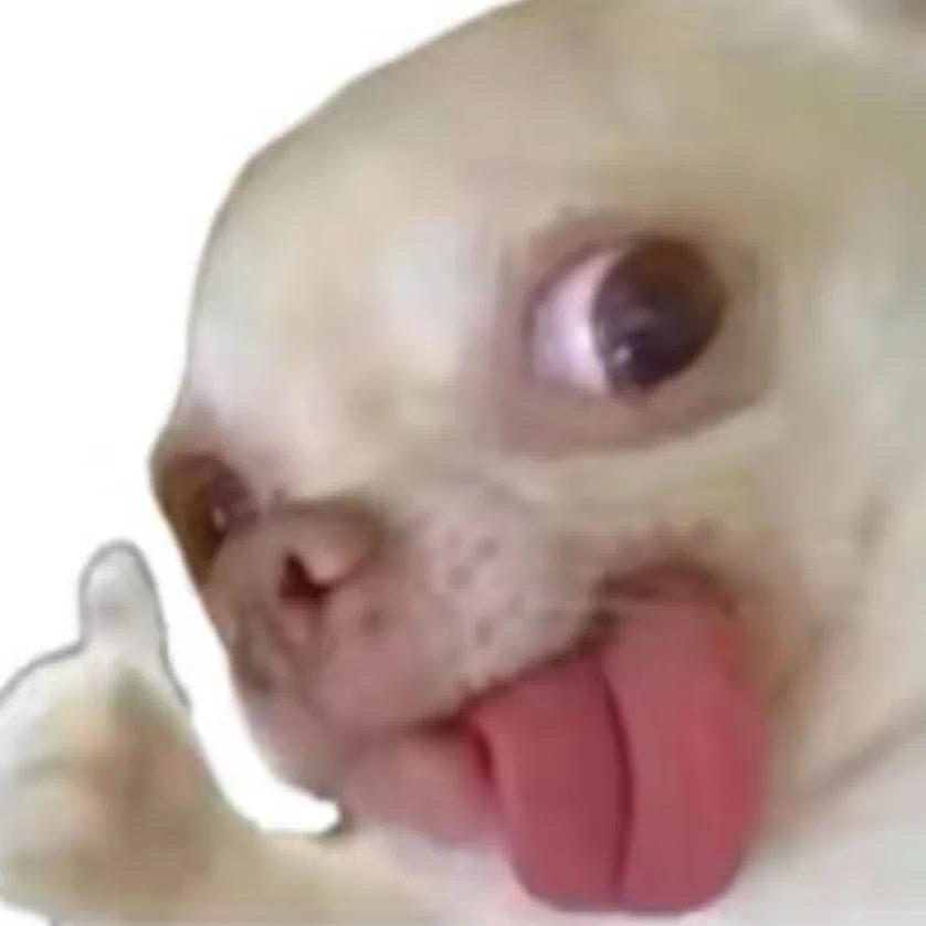 大葱