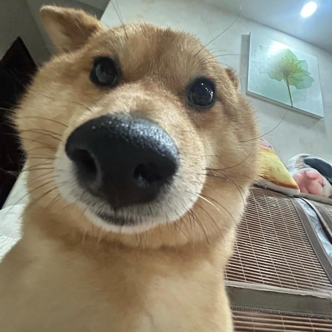 小张