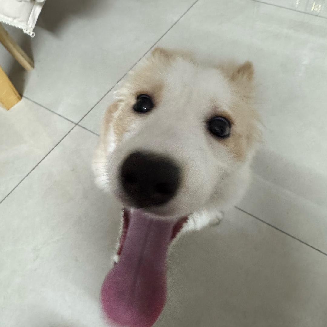 去凌晨的海