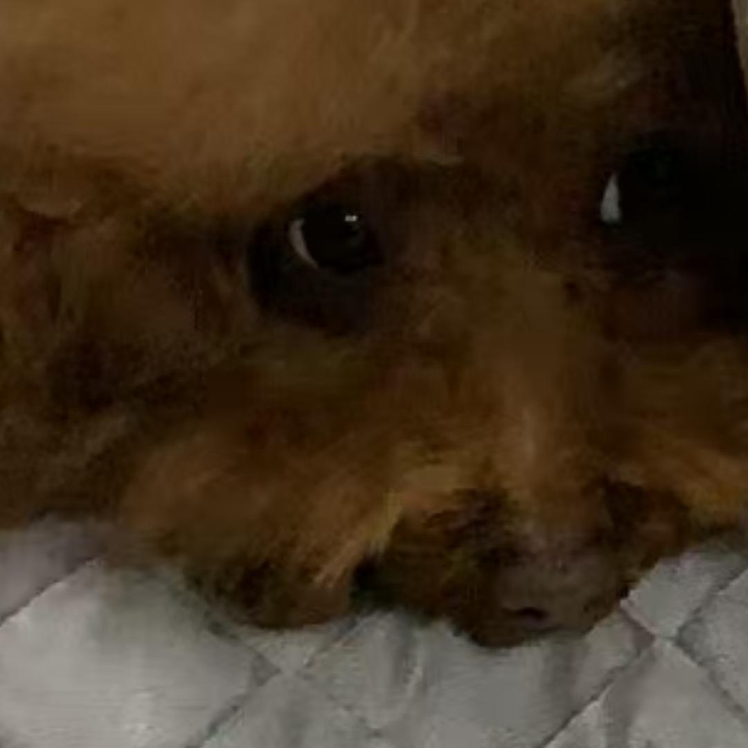 灵璧人在常州