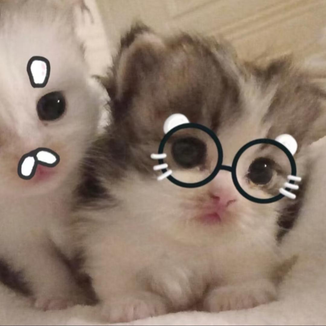 不拿驾照不改名🌚