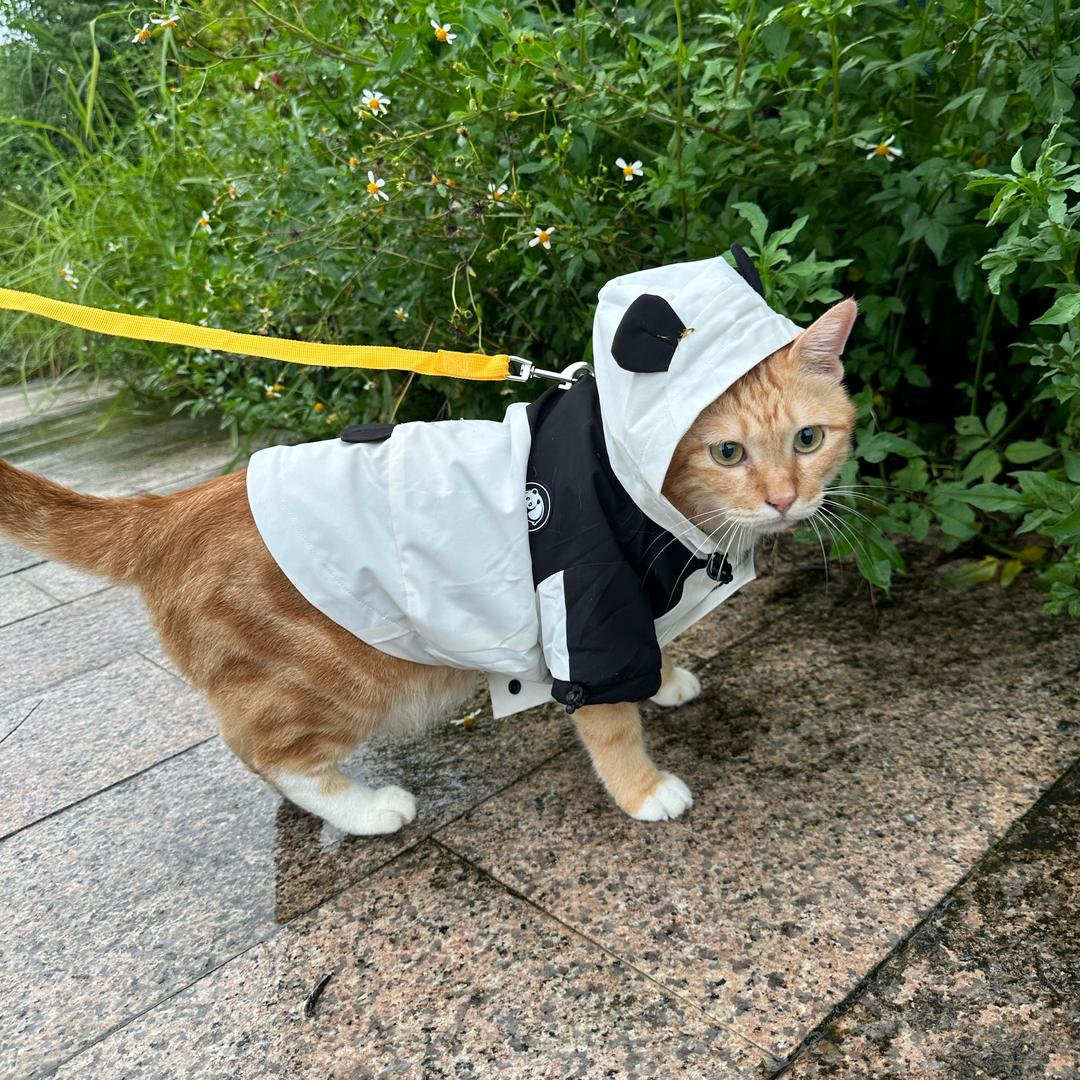 吴滴滴的小耳朵