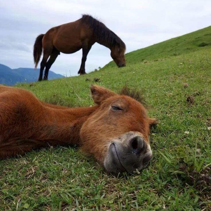 ￴￴￴ ￴￴ ￴￴￴￴￴ ￴￴ ￴￴