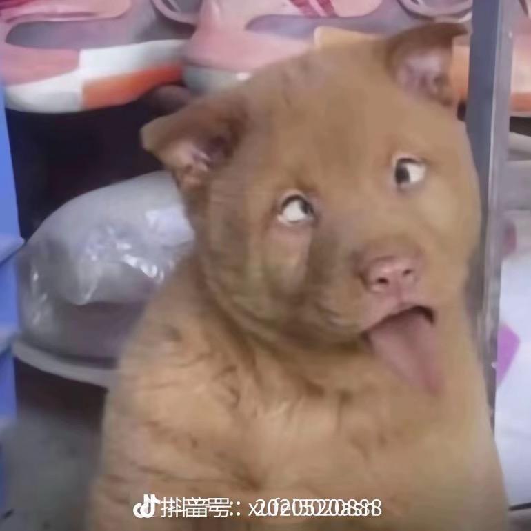 不开心和没烦恼